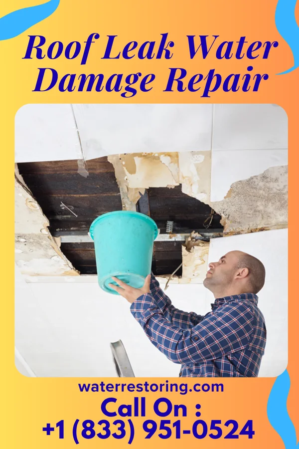 Roof Leak Water Damage Repair in Spanish Springs, NV